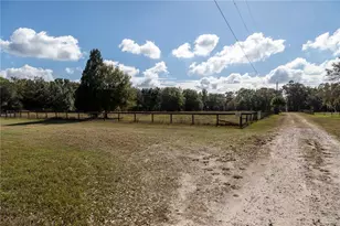 11560 Tarpon Springs, Odessa, FL 33556 - Photo 15