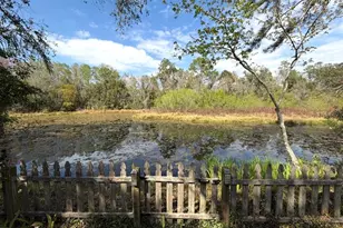 12824 Dunhill Dr, Tampa, FL 33624 - Photo 17