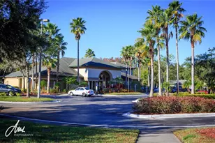 17114 Carrington Park Dr, Tampa, FL 33647 - Photo 29