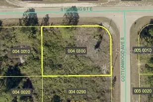 502 Cottonwood Ave S, Lehigh Acres, FL 33974 - Photo 1