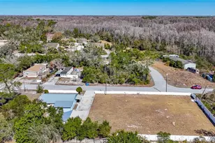 12832 Mountain Rd, New Port Richey, FL 34654 - Photo 55