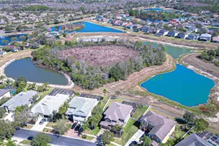 19914 Bluff Oak Blvd, Tampa, FL 33647 - Photo 37