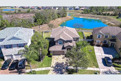 19914 Bluff Oak Boulevard, Tampa, FL 33647 - Photo 5