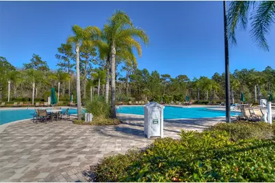 19914 Bluff Oak Boulevard, Tampa, FL 33647 - Photo 33
