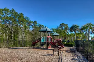 19914 Bluff Oak Blvd, Tampa, FL 33647 - Photo 41