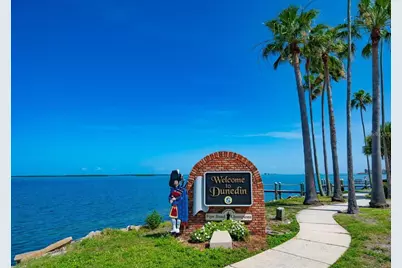 5 Shore Drive, Dunedin, FL 34698 - Photo 33