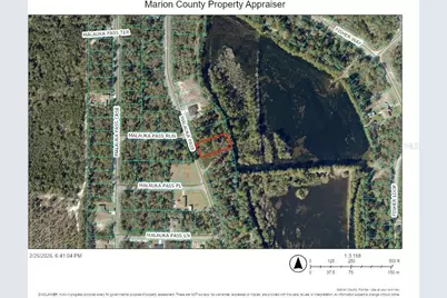 000 Malauka Pass, Ocklawaha, FL 32179 - Photo 3