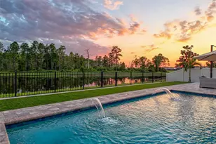 11828 Ranchers Gap Dr, Odessa, FL 33556 - Photo 3