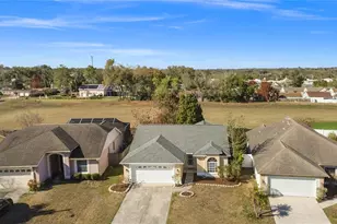 603 Sand Ridge Dr, Valrico, FL 33594 - Photo 9