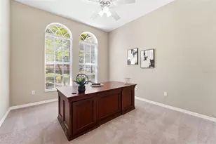 21235 Sky Vista Dr, Land O Lakes, FL 34637 - Photo 21