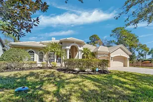 21235 Sky Vista Dr, Land O Lakes, FL 34637 - Photo 51