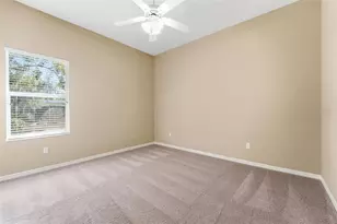 21235 Sky Vista Dr, Land O Lakes, FL 34637 - Photo 31