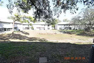 5106 Sunridge Palms Dr, Tampa, FL 33617 - Photo 35