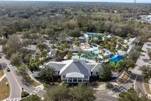 6058 Fishhawk Crossing Blvd, Lithia, FL 33547 - Photo 43