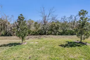 17288 Balance Cv, Land O Lakes, FL 34638 - Photo 31
