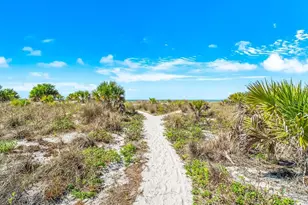 1180 Gulf Blvd, Clearwater, FL 33767 - Photo 49
