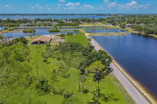 438 Lafayette Blvd, Oldsmar, FL 34677 - Photo 43