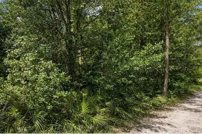 0 Olsen Street, New Port Richey, FL 34654 - Photo 3