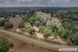 664 NE 748th Ave, Old Town, FL 32680 - Photo 49