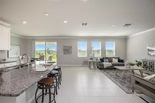 2326 Village Amble Loop, Lutz, FL 33558 - Photo 9