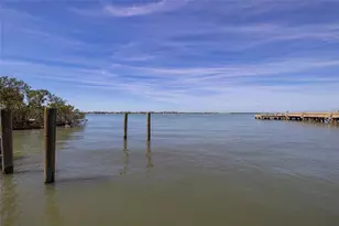 1433 Park St N, Saint Petersburg, FL 33710 - Photo 79