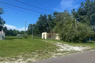 9701 Ellison Rd, Thonotosassa, FL 33592 - Photo 3