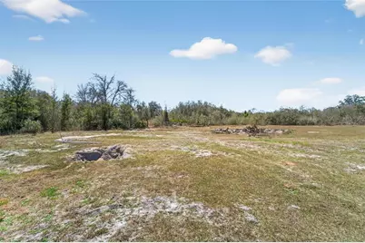 35238 Manuel Street, Ridge Manor Estates, FL 33597 - Photo 61