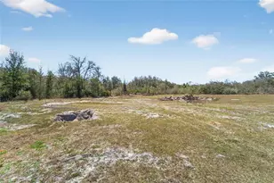 35238 Manuel St, Ridge Manor Estates, FL 33597 - Photo 61