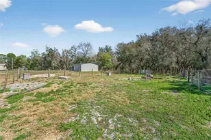 35238 Manuel St, Ridge Manor Estates, FL 33597 - Photo 57