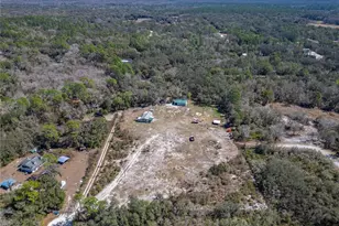 35238 Manuel St, Ridge Manor Estates, FL 33597 - Photo 77