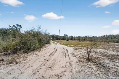 35238 Manuel Street, Ridge Manor Estates, FL 33597 - Photo 13