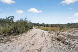 35238 Manuel St, Ridge Manor Estates, FL 33597 - Photo 13