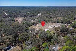 35238 Manuel St, Ridge Manor Estates, FL 33597 - Photo 73