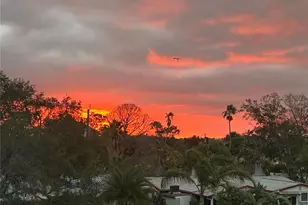 8210 Aquila St, Port Richey, FL 34668 - Photo 29