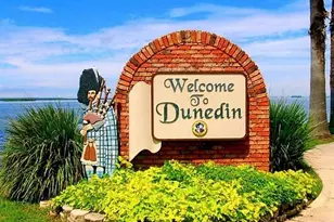 212 Bunkerhill Ln, Dunedin, FL 34698 - Photo 31