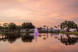 10467 Larchmont Pl N, Pinellas Park, FL 33782 - Photo 37