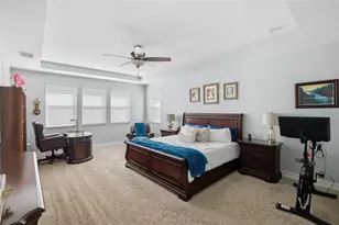 3608 Shadow Arbor Wy, Lutz, FL 33548 - Photo 19