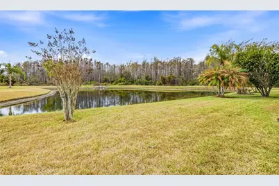 29338 Marker Loop, San Antonio, FL 33576 - Photo 25