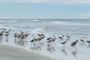 103 Bath Club Concourse, North Redington Beach, FL 33708 - Photo 79