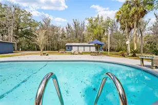 14352 Ponce De Leon Blvd, Brooksville, FL 34601 - Photo 47