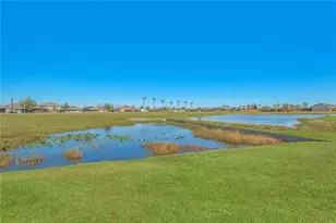 11908 Greenchop Pl, Riverview, FL 33579 - Photo 35