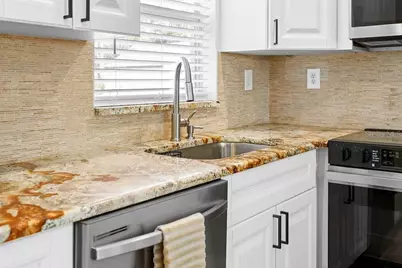 2909 W Dewey Street, Tampa, FL 33607 - Photo 9