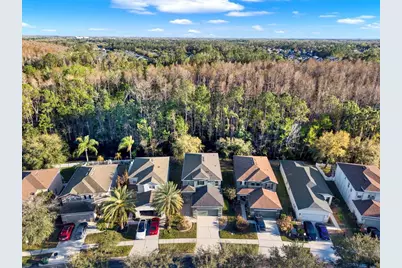 27032 Stillbrook Drive, Wesley Chapel, FL 33543 - Photo 35