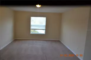 20509 Carolina Cherry Ct, Tampa, FL 33647 - Photo 7