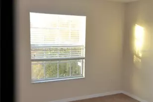 20509 Carolina Cherry Ct, Tampa, FL 33647 - Photo 9