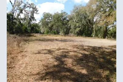 10351 US Highway 301, Dade City, FL 33525 - Photo 7