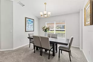 6641 Boulder Run Loop, Wesley Chapel, FL 33545 - Photo 7