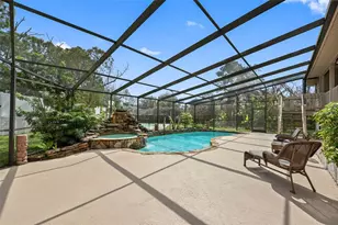 413 Manor Blvd, Palm Harbor, FL 34683 - Photo 39