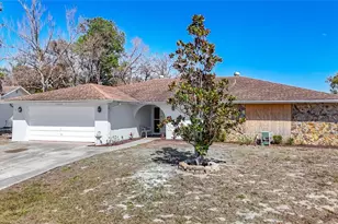 11020 Peppertree Ln, Port Richey, FL 34668 - Photo 3