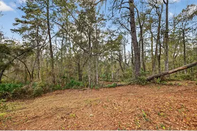 Powell Road, Brooksville, FL 34602 - Photo 3